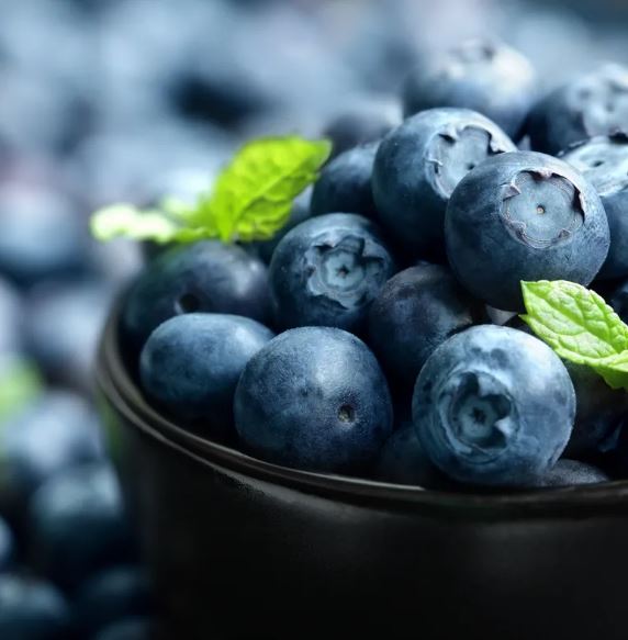 Fresh Blueberries